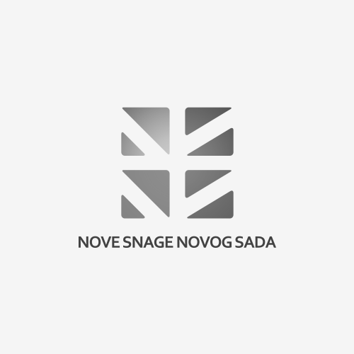 logo_nsns